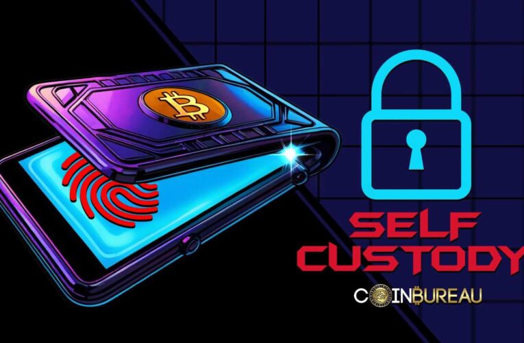 Secure Your Crypto with the Top Self-Custody Wallets In 2025