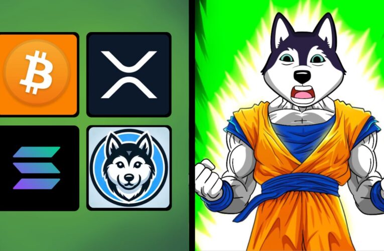 Husky Inu (HINU) Raises Over $700K In Presale As Trump Steps Into Office