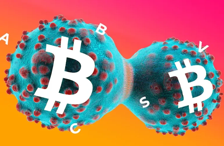 Bitcoin Cash and Bitcoin SV Still Battling Back and Fork