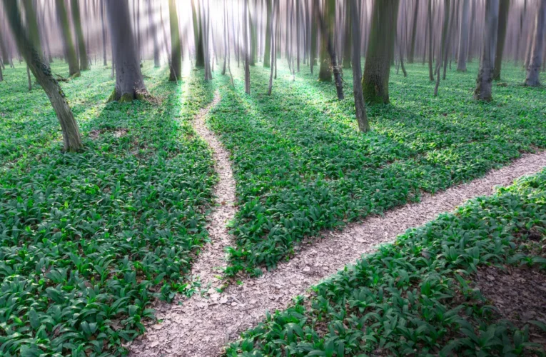 Bitcoin Price Analysis: Stagnation in No Man’s Land May Lead to Major Move