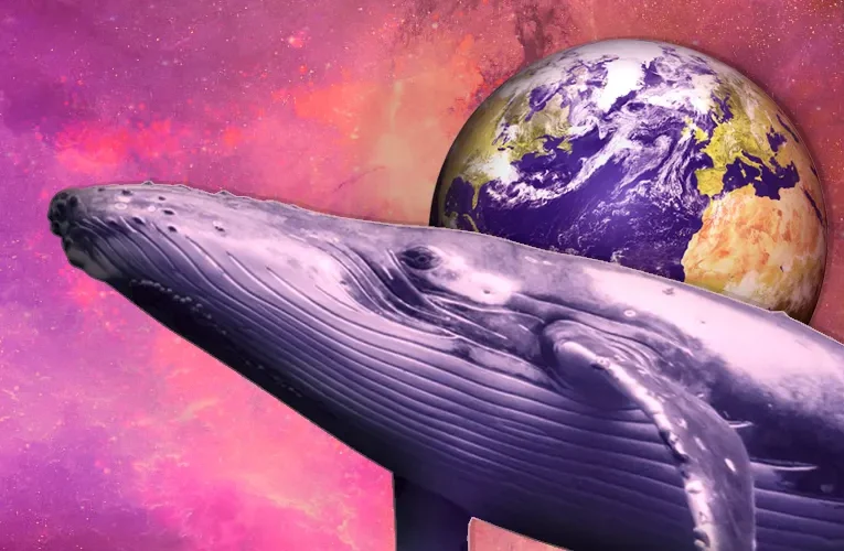 The Whale Effect: How the Market Buckles to the Big Guns