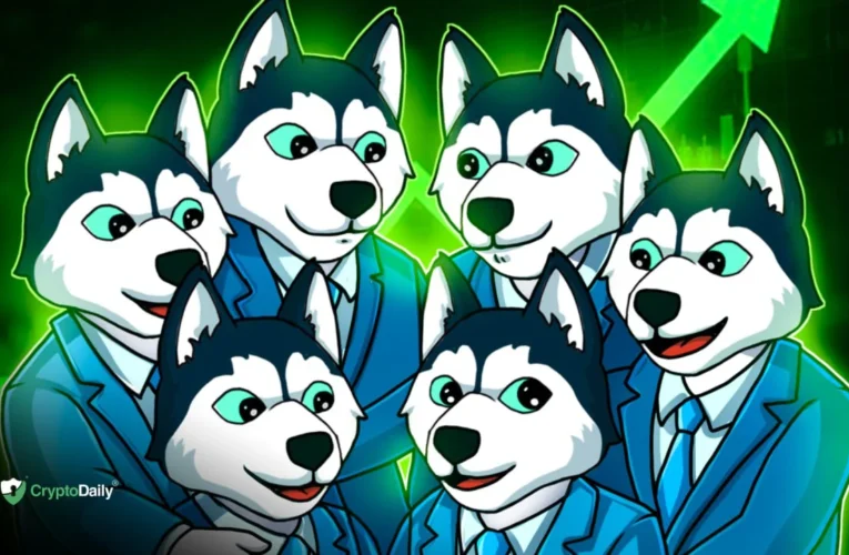 Husky Inu’s (HINU) Latest Price Jump And Meme Coin Outlook