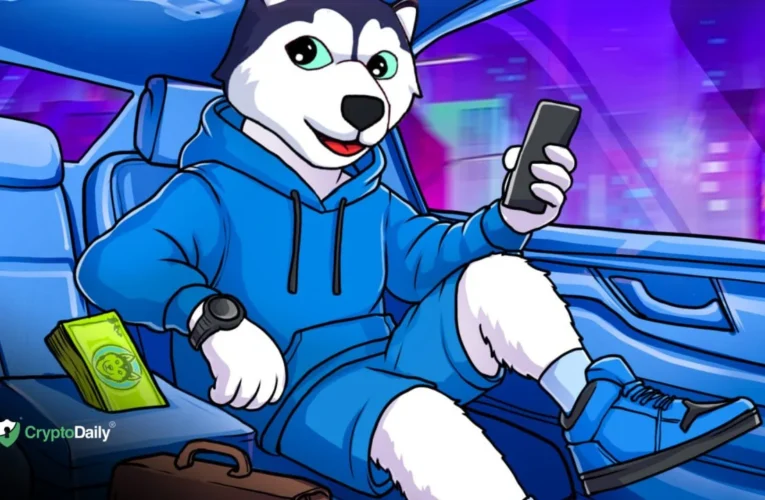 Husky Inu (HINU) Price Set To Jump to $0.00016976