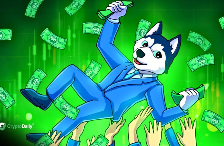 Tracking Husky Inu’s Key Milestones And Developments