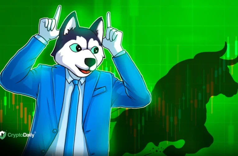 Husky Inu Set For Price Jump As Crypto Market Rallies