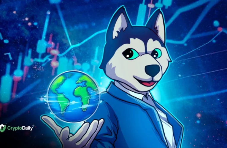 Husky Inu Records Price Jump, Rises To $0.00016927