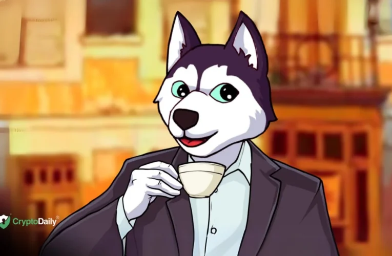 Husky Inu (HINU) Set For Price Jump As Markets Rally