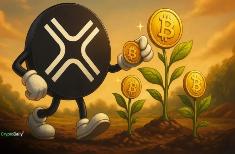 DigitalX Secures $13.5M to Expand Bitcoin Holdings; Bolster Strategic Leadership