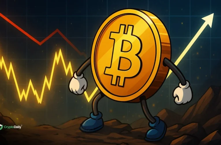 Can Bitcoin (BTC) Hold Its Ground? Price Analysis and Outlook