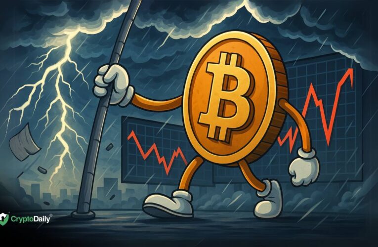 Can Crypto Investors Handle Extreme Market Volatility? Insights for 2025