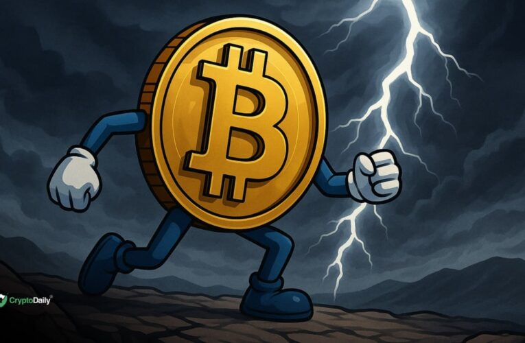 Bitcoin (BTC) Starts Recovery Amid Fearful Market: Price Analysis