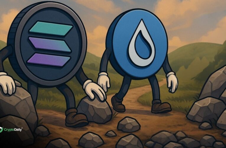 Solana (SOL) and Sui (SUI) Face Correction: Larger Move Ahead?