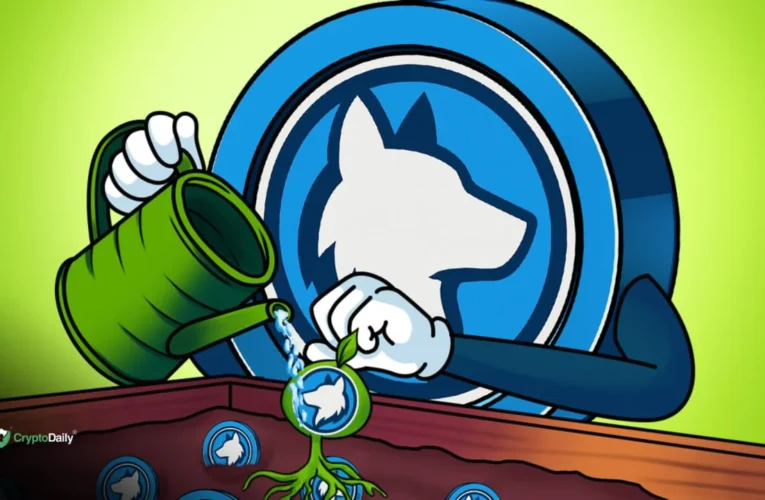 Husky Inu (HINU) Rises To $0.00020628 As Bitcoin (BTC) Slips Below $115,000