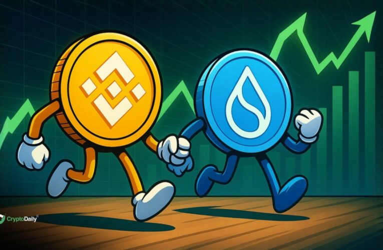 Binance Coin (BNB) Surges Wildly as Sui (SUI) Gears Up: Price Analysis