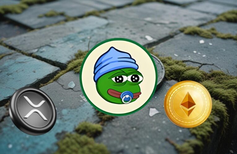 The 5 Top Cryptos to Invest in Today as Bears Dominate the Market