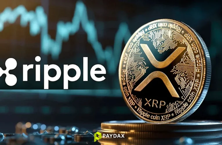 Ripple CEO Reveals What People Get Wrong About XRP