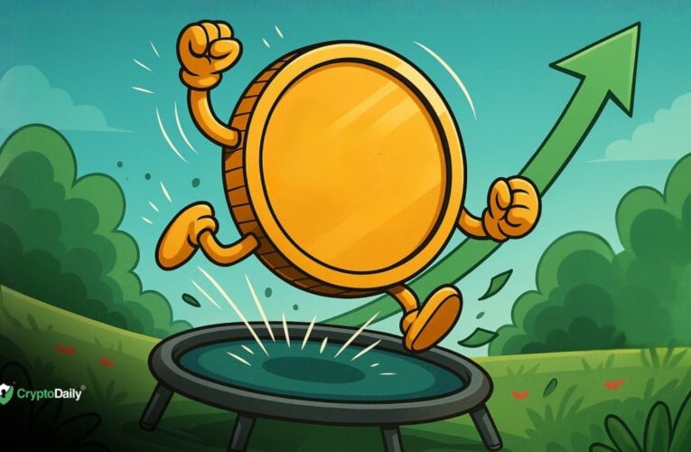 Altcoins Bounce After Bloodbath Collapse: Relief Rally or Real Recovery? Market Analysis