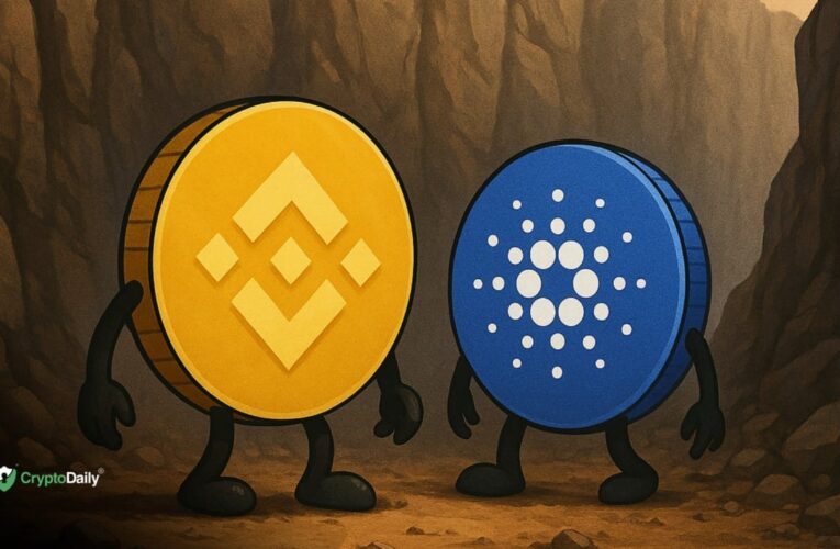Binance Coin (BNB) & Cardano (ADA): Have They Finally Hit Bottom? Price Analysis