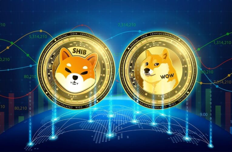 DOGE and SHIB Could Rally to Big Heights – but Digitap’s Real-World Utility May Outshine Them Both