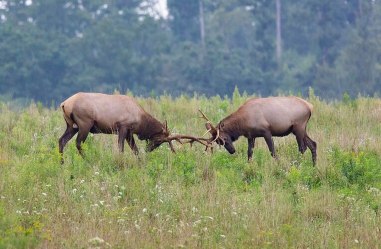 Inside The World of Web3 Trading Competitions