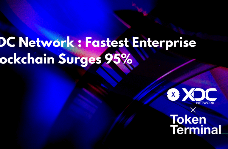 XDC Network Defies Bear Market Blues: Fastest Enterprise Blockchain Surges 95% in Users Amid Downturn
